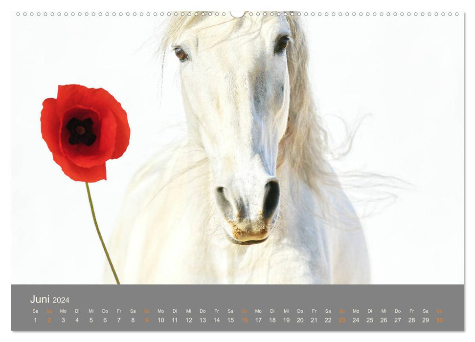 FANTASY Pferde Horses Caballos (CALVENDO Premium Wandkalender 2024)