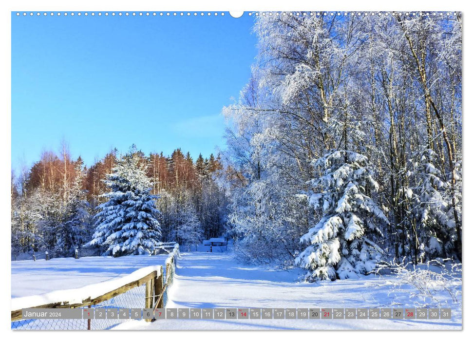 Hiking in the Ore Mountains (CALVENDO wall calendar 2024) 