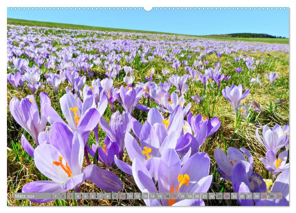 Hiking in the Ore Mountains (CALVENDO wall calendar 2024) 