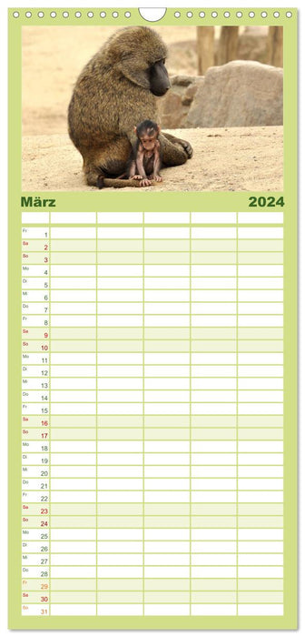 Kleine Schelme - Tierbabys (CALVENDO Familienplaner 2024)