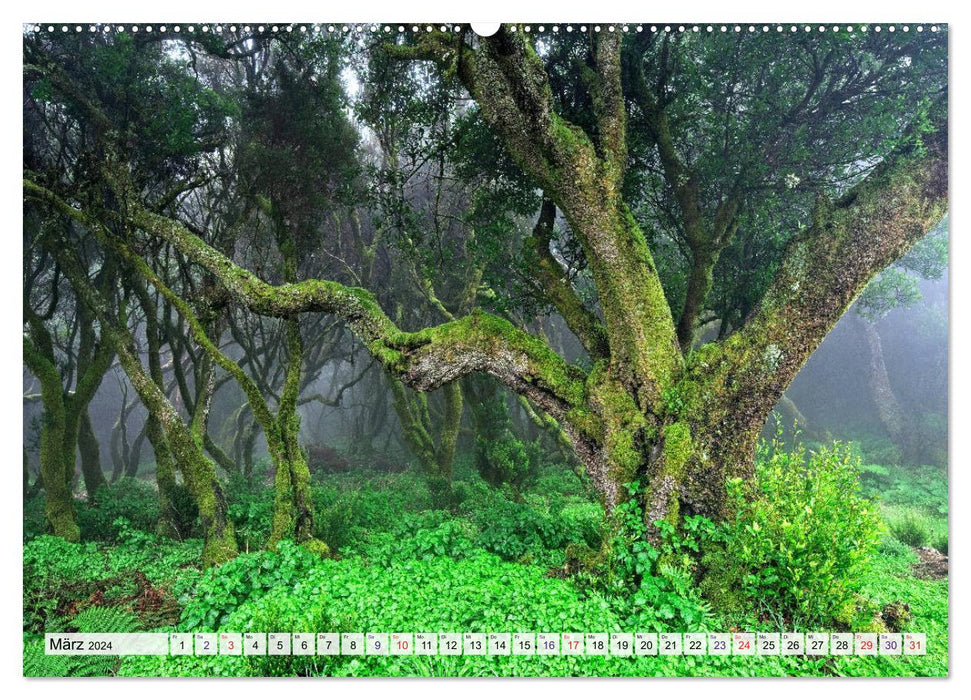 El Hierro - The most original island in the Canary Islands (CALVENDO Premium Wall Calendar 2024) 