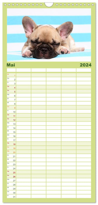 Der Bully - Kalender Familienplaner hoch (CALVENDO Familienplaner 2024)