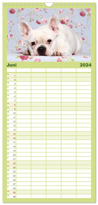 Der Bully - Kalender Familienplaner hoch (CALVENDO Familienplaner 2024)