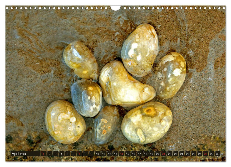 Stone magic worlds - collecting stones on Rügen (CALVENDO wall calendar 2024) 