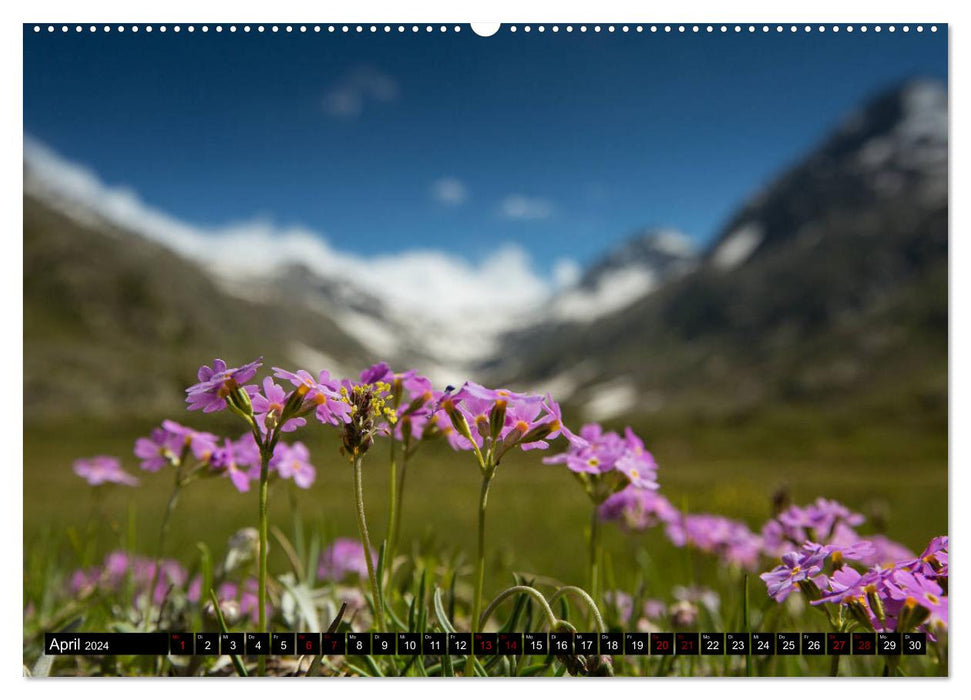 Gran Paradiso National Park (CALVENDO Premium Wall Calendar 2024) 