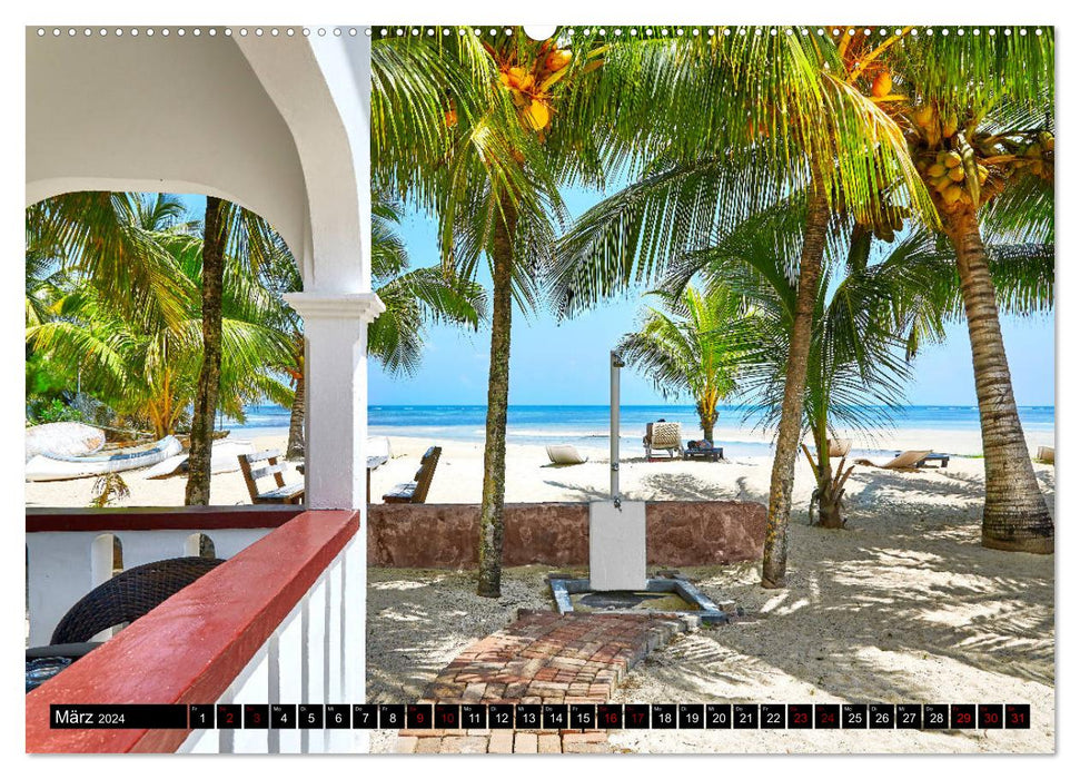 Seychelles Paradise 2024 (Calvendo Premium Calendrier mural 2024) 