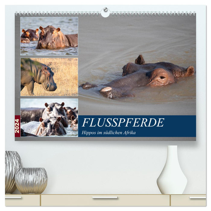 Hippopotames en Afrique australe (Calvendo Premium Wall Calendar 2024) 