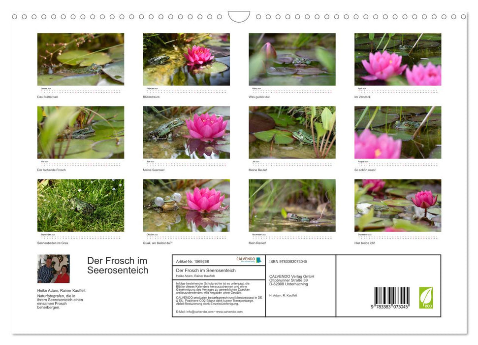 The frog in the water lily pond (CALVENDO wall calendar 2024) 