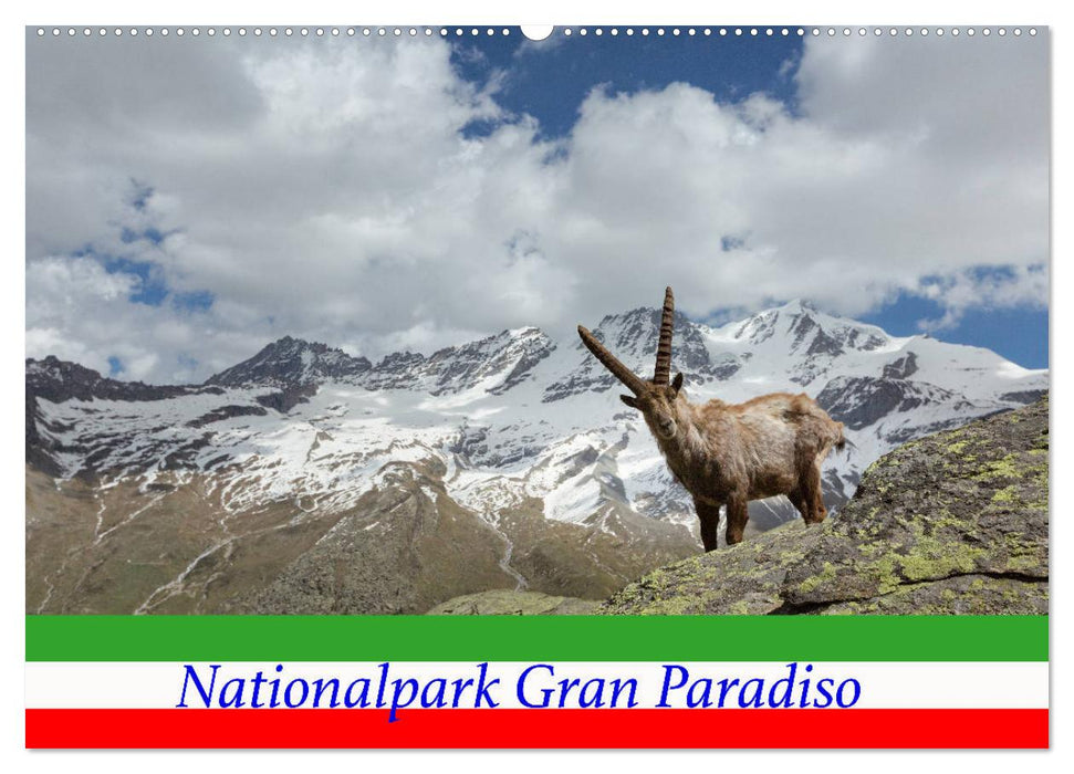 Gran Paradiso National Park (CALVENDO wall calendar 2024) 