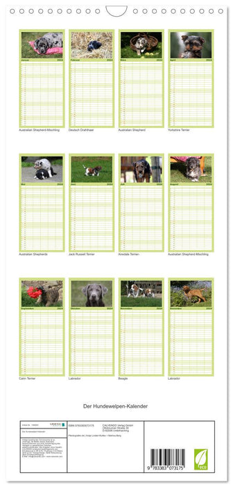 Der Hundewelpen-Geburtstagskalender (CALVENDO Familienplaner 2024)