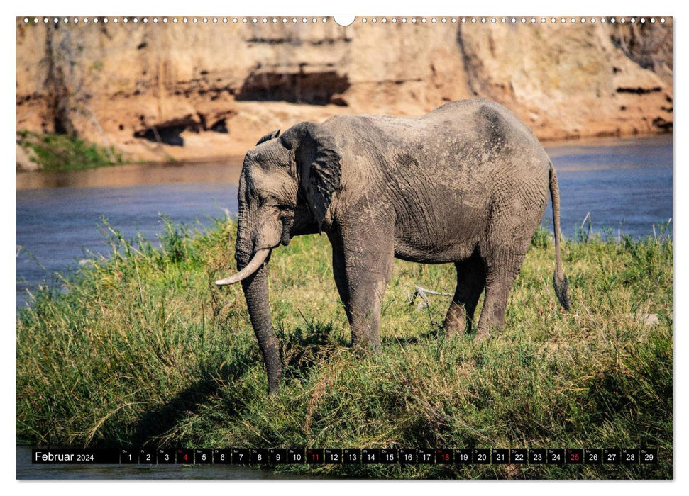 Zambia "The Real Africa" ​​(CALVENDO Premium Wall Calendar 2024) 