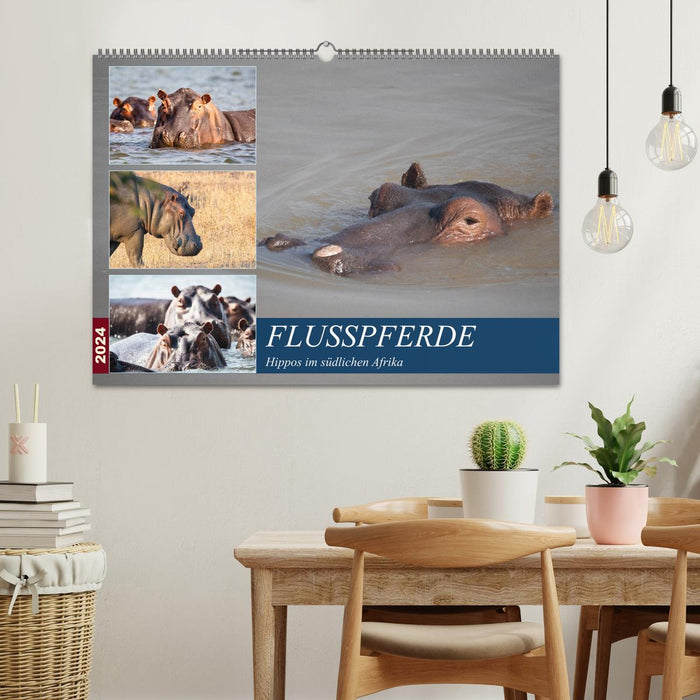 Hippopotames en Afrique australe (Calendrier mural CALVENDO 2024) 