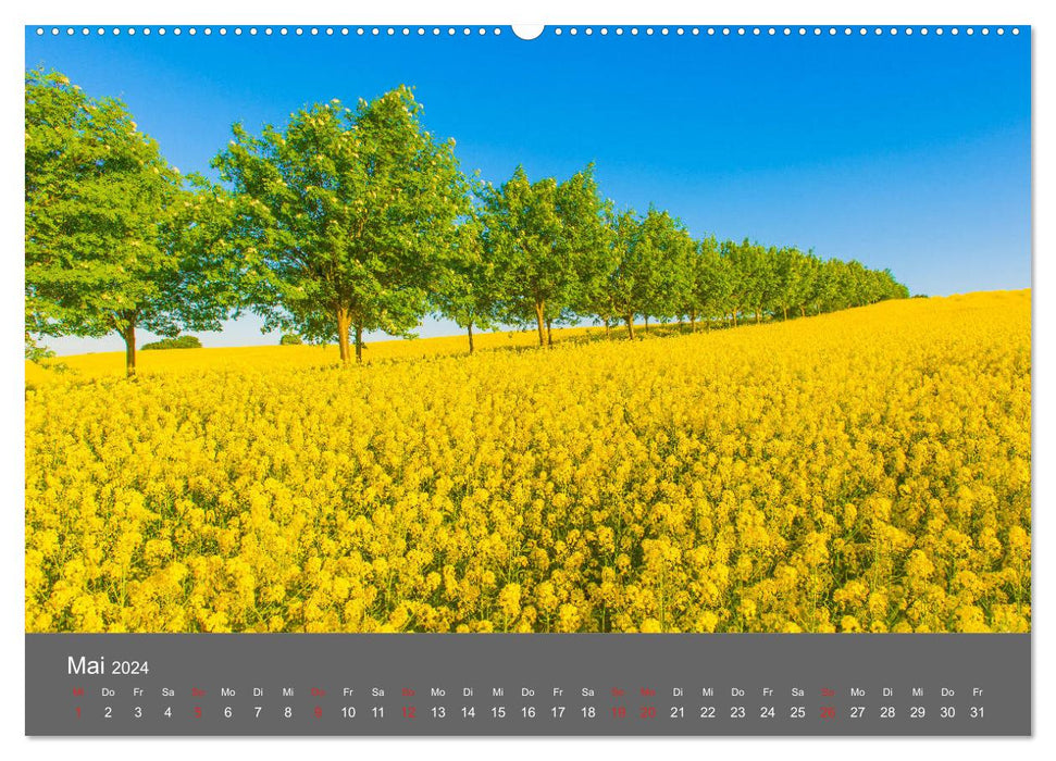 Beautiful Meck-Pomm (CALVENDO wall calendar 2024) 