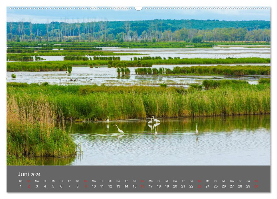 Schönes Meck-Pomm (CALVENDO Wandkalender 2024)