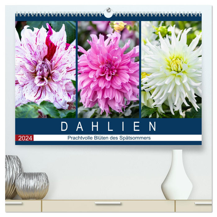 Dahlias - Magnificent flowers of late summer (CALVENDO Premium Wall Calendar 2024) 