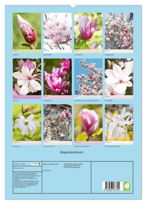 Magnolientraum (CALVENDO Premium Wandkalender 2024)