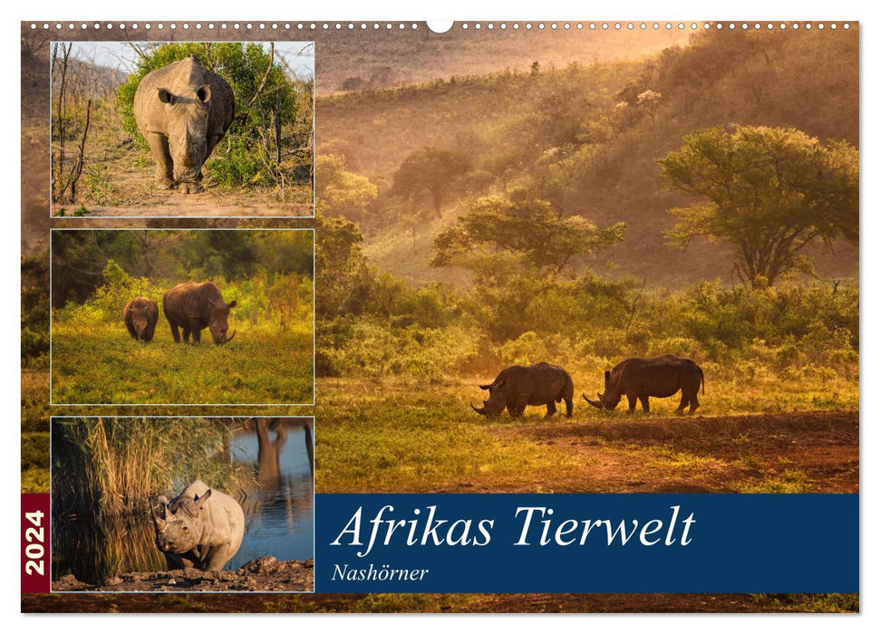 Afrikas Tierwelt: Nashörner (CALVENDO Wandkalender 2024)