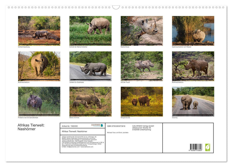 Africa's wildlife: rhinos (CALVENDO wall calendar 2024) 