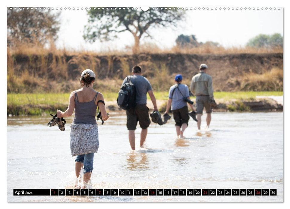 Zambia "The real Africa" ​​(CALVENDO wall calendar 2024) 