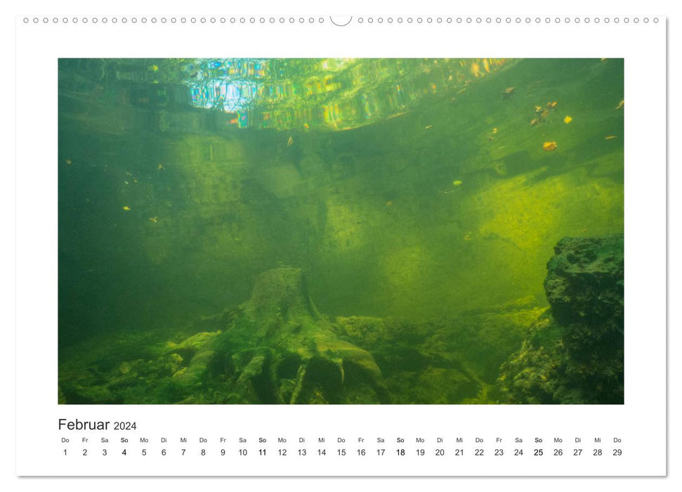 Underwater in streams and rivers (CALVENDO Premium Wall Calendar 2024) 