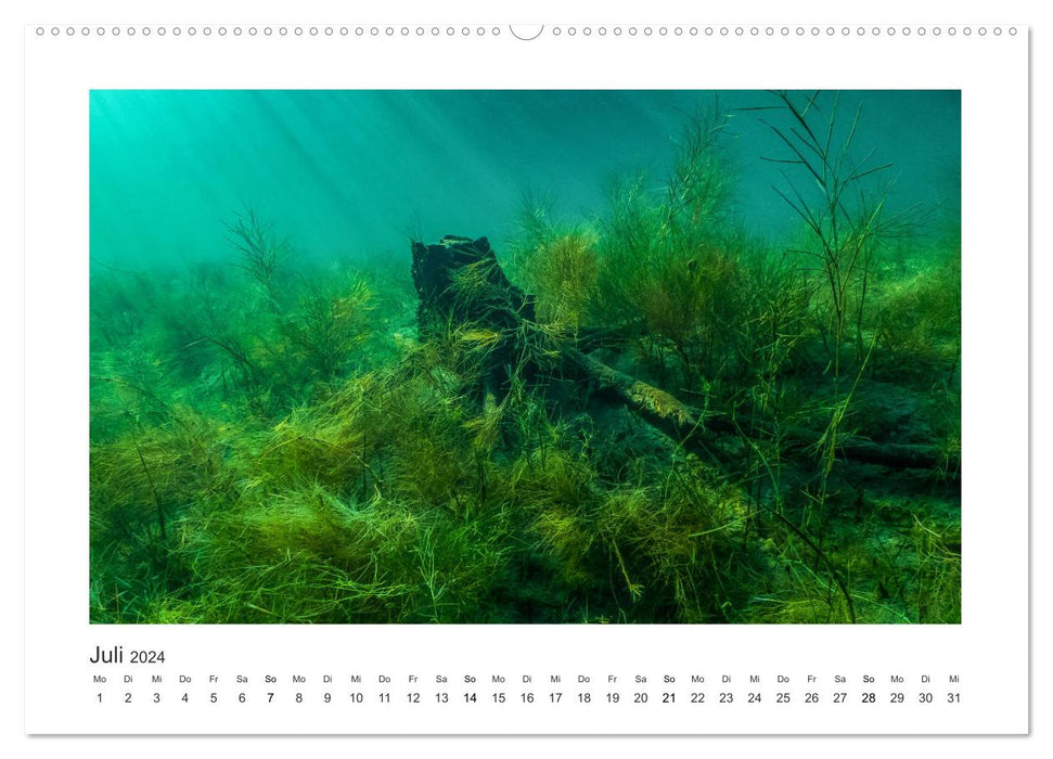 Unter Wasser in Bächen und Flüssen (CALVENDO Premium Wandkalender 2024)
