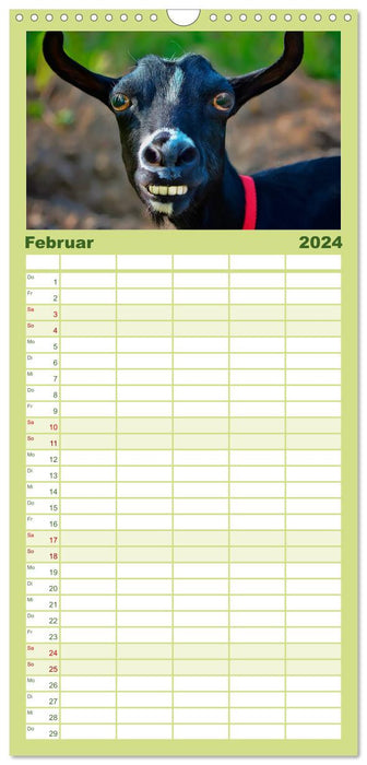 Lustig und verrückt - der ganz andere Tierkalender (CALVENDO Familienplaner 2024)