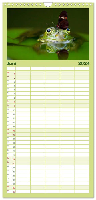 Lustig und verrückt - der ganz andere Tierkalender (CALVENDO Familienplaner 2024)