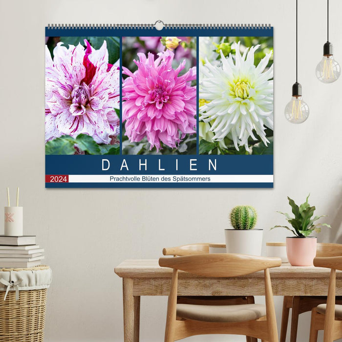 Dahlias - magnificent flowers of late summer (CALVENDO wall calendar 2024) 