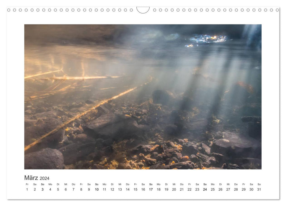 Unter Wasser in Bächen und Flüssen (CALVENDO Wandkalender 2024)
