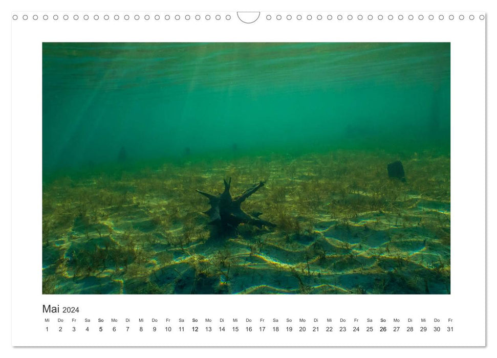 Underwater in streams and rivers (CALVENDO wall calendar 2024) 