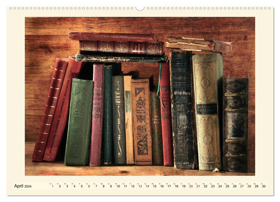 For the love of old books (CALVENDO Premium Wall Calendar 2024) 