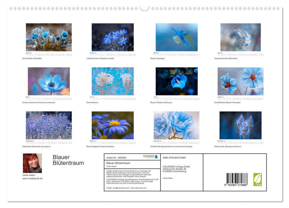 Blauer Blütentraum (CALVENDO Premium Wandkalender 2024)