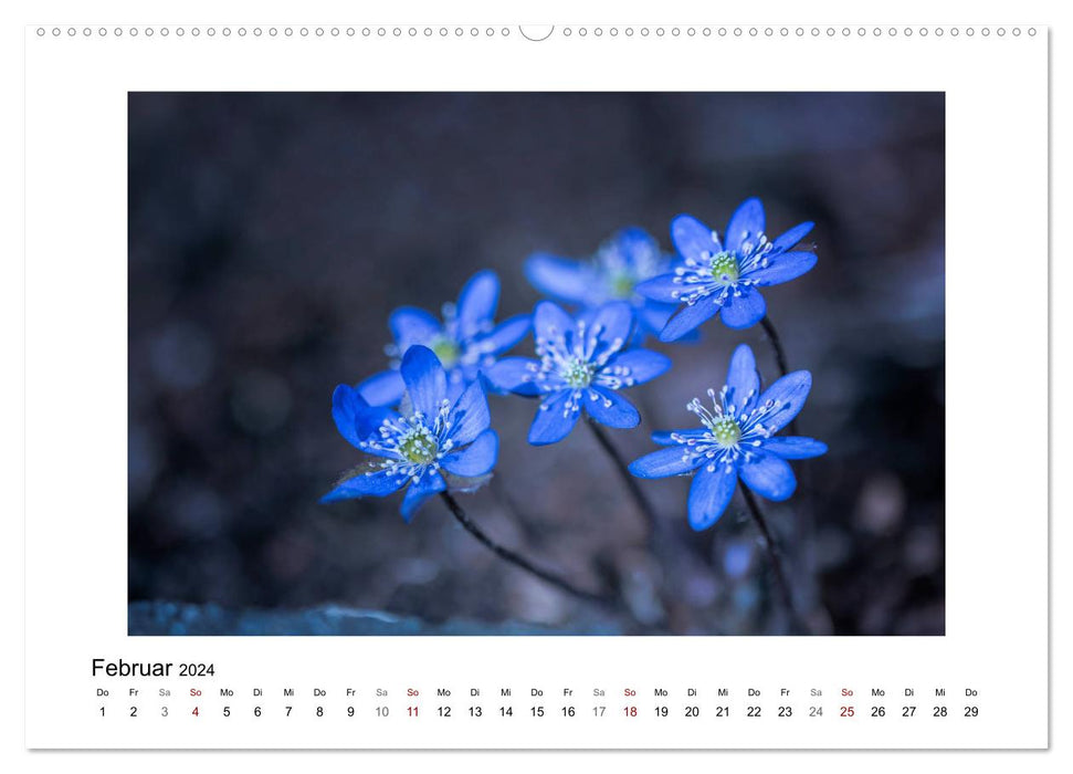 Blauer Blütentraum (CALVENDO Wandkalender 2024)