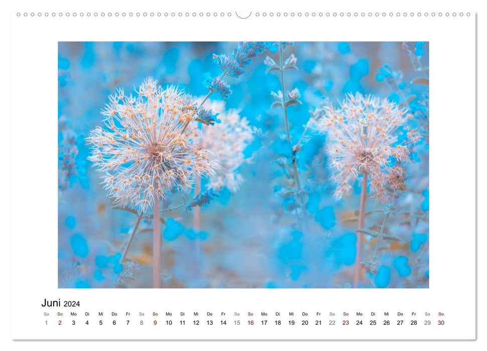 Blauer Blütentraum (CALVENDO Wandkalender 2024)