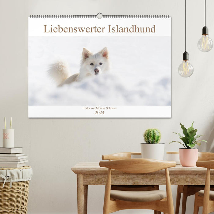 Liebenswerter Islandhund (CALVENDO Wandkalender 2024)