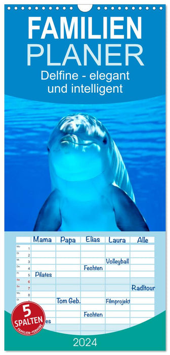 Delfine - elegant und intelligent (CALVENDO Familienplaner 2024)