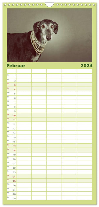 Der Windhundekalender (CALVENDO Familienplaner 2024)
