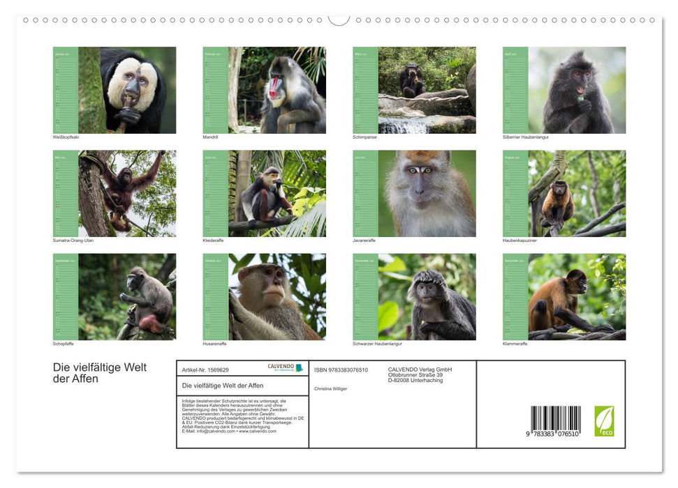 Die vielfältige Welt der Affen (CALVENDO Premium Wandkalender 2024)