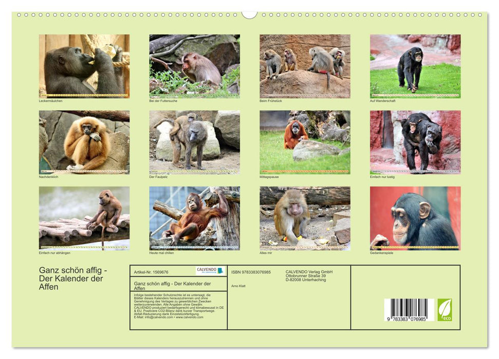 Ganz schön affig - Der Kalender der Affen (CALVENDO Premium Wandkalender 2024)