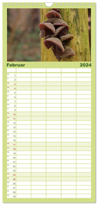 Calendrier champignons (Agenda familial CALVENDO 2024) 