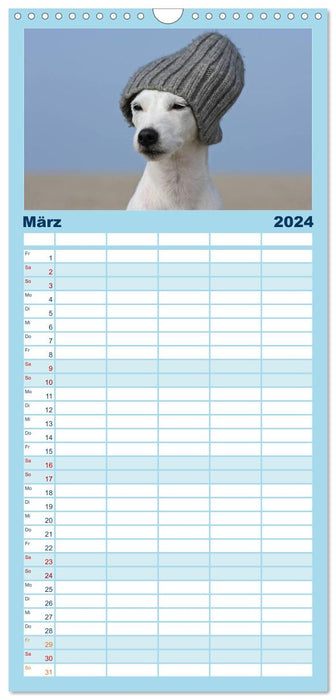 Parson Russell Terrier (Planificateur familial CALVENDO 2024) 