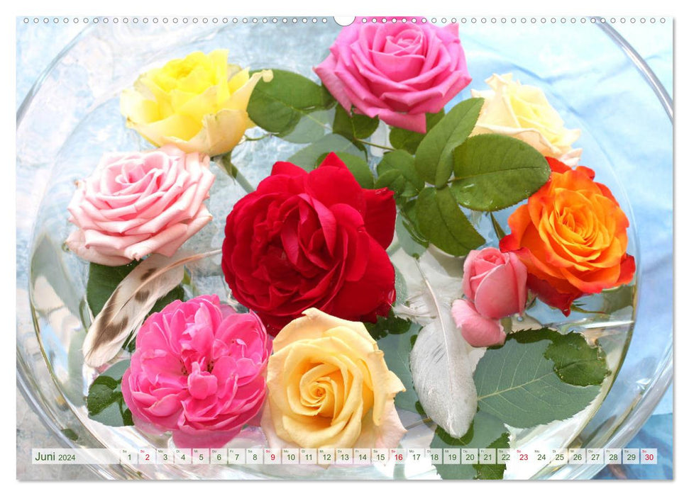 So many beautiful roses (CALVENDO Premium Wall Calendar 2024) 