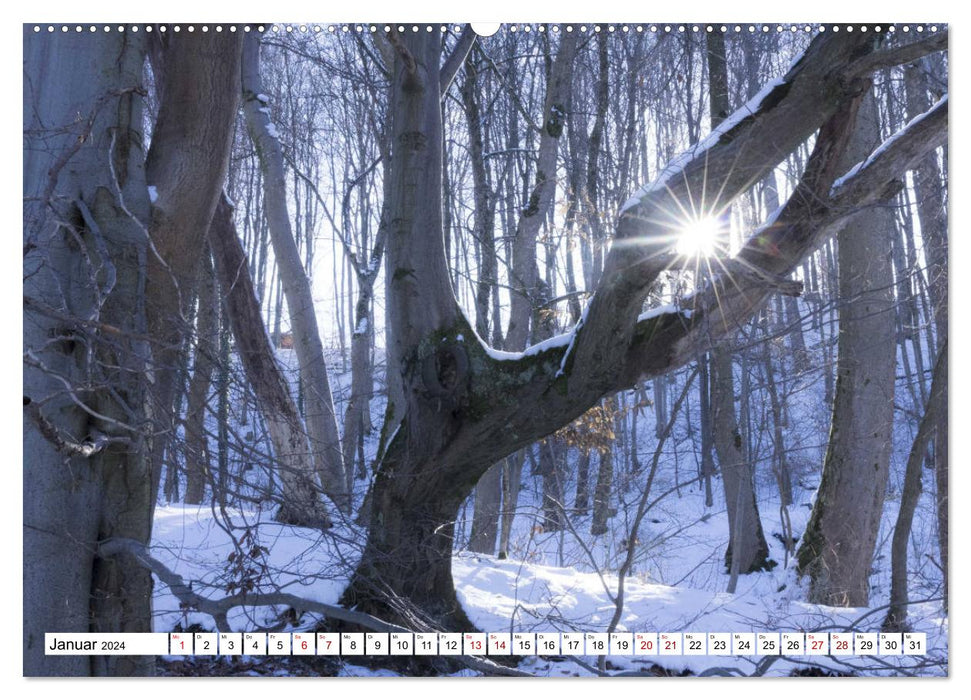 Fürstenfeldbruck - foray through nature and city (CALVENDO wall calendar 2024) 