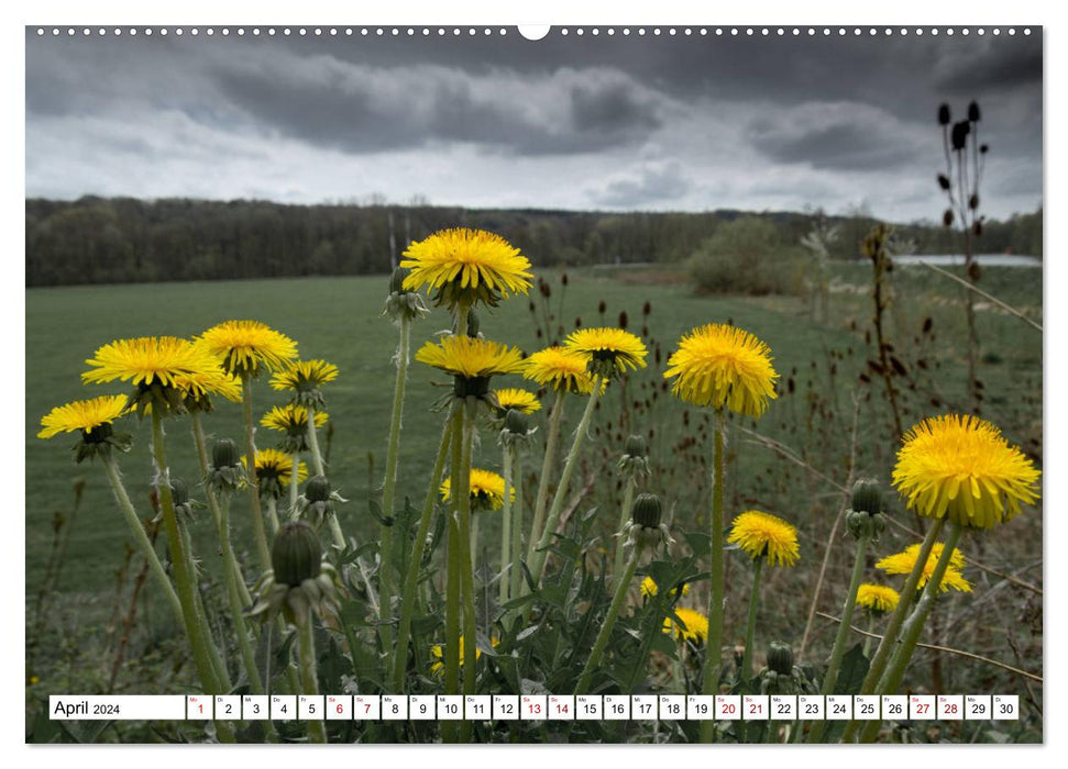 Fürstenfeldbruck - foray through nature and city (CALVENDO wall calendar 2024) 