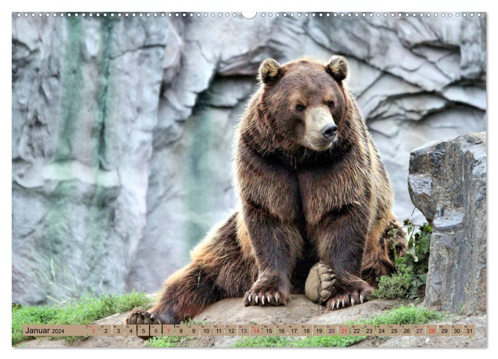 Bears - The polar bear and the Kamchatka brown bear (CALVENDO Premium Wall Calendar 2024) 