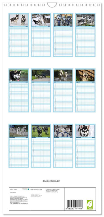 Calendrier Husky (Agenda familial CALVENDO 2024) 