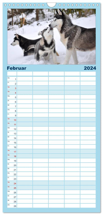 Husky-Kalender (CALVENDO Familienplaner 2024)