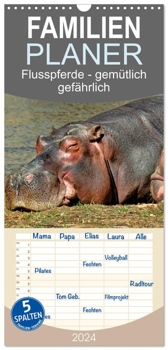 Hippopotames - confortablement dangereux (Planificateur familial CALVENDO 2024) 