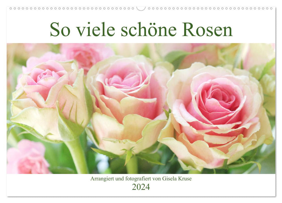 So many beautiful roses (CALVENDO wall calendar 2024) 