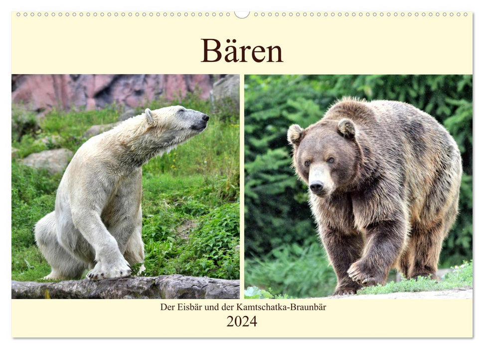 Bären - Der Eisbär und der Kamtschatka-Braunbär (CALVENDO Wandkalender 2024)